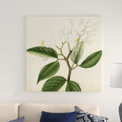 Garden Bounty VI - Wrapped Canvas Print