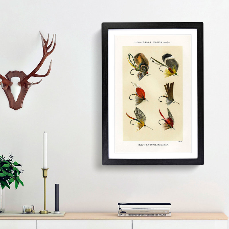 Bass Fishing Flies Versions 8 by Mary Orvis Marbury - Picture Frame Painting Print, 48cm H x 36cm W x 2cm D, Black Framed