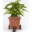 Alexis Weather Resistant Planter Feet