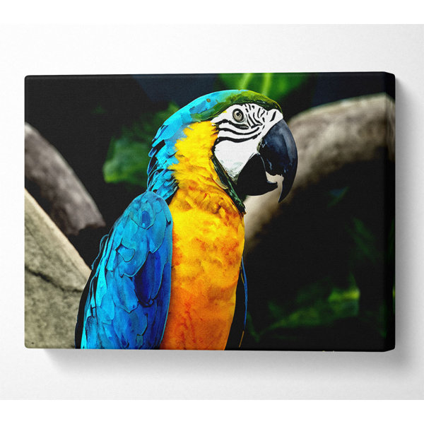 Bay Isle Home Amazing Parrot - Wrapped Canvas Print | Wayfair.co.uk