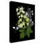 «Hydrangea» par Dosta, impression sur toile tendue-29224121
