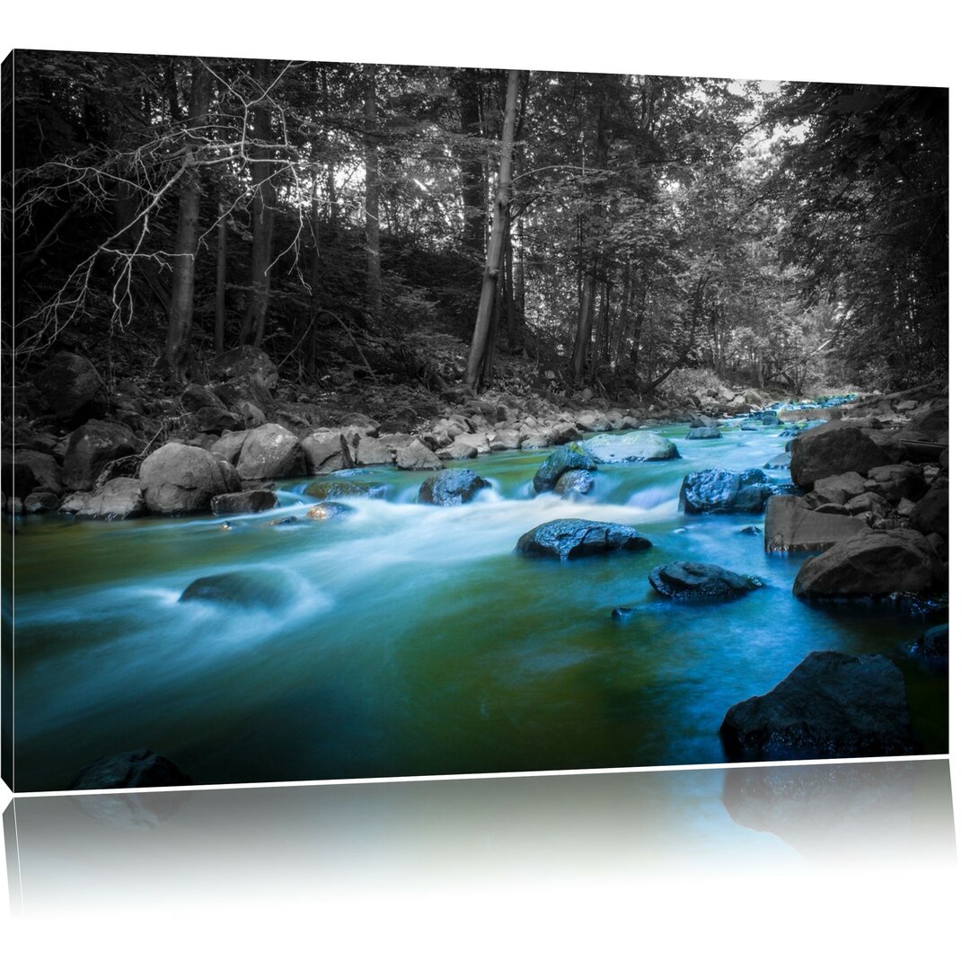 Leinwandbild Fluss im Wald mit Steinen