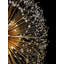 Lustre en cristal Luxe Starburst-264115064-187061046-187061048
