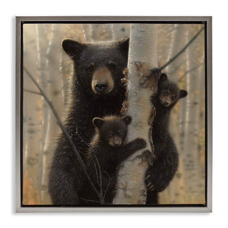 «Forest Forest and Cubs», art mural encadré flottant par Collin Bogle, H 25 po x l 25 po, Cadre flottant gris lustré