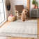 Downard Geometric Area Rug
