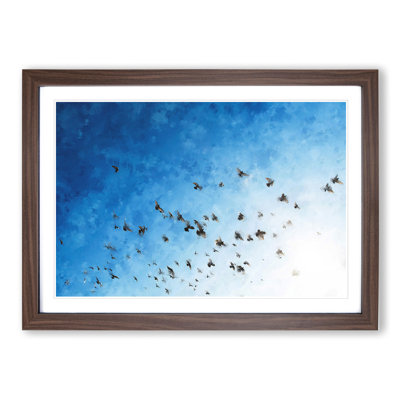 Flying Pigeons - Framed Print