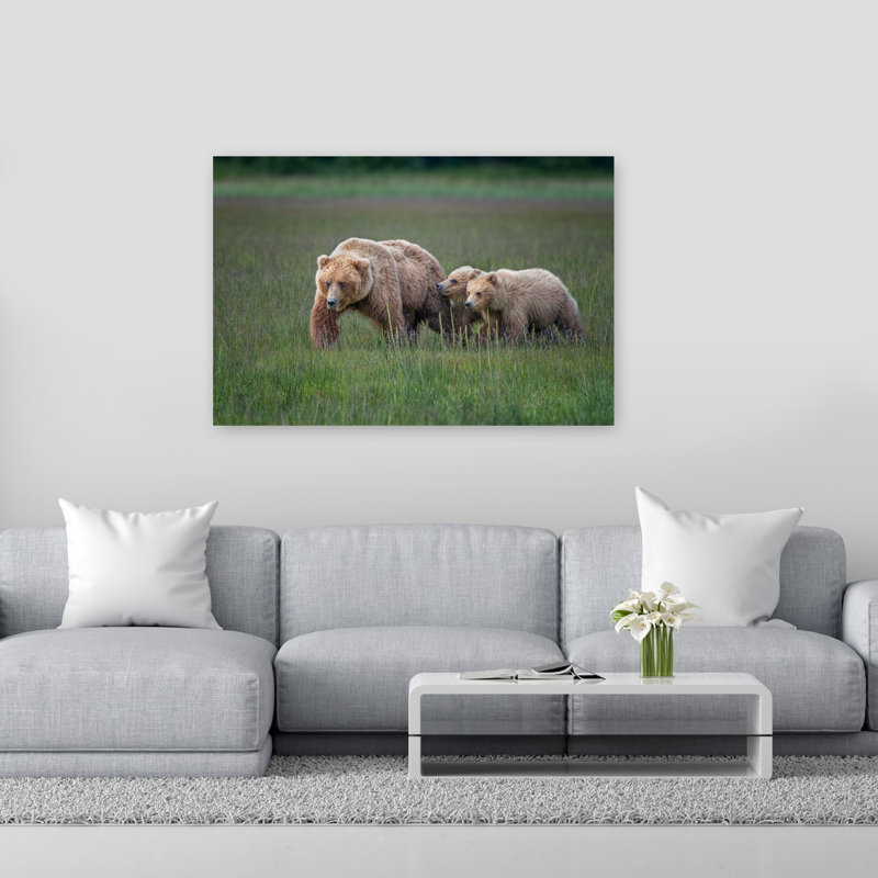 Brown Bear Family Walk Contemporary Bear Nature Wildlife Wall Art Print, 101.6cm H x 152.4cm W