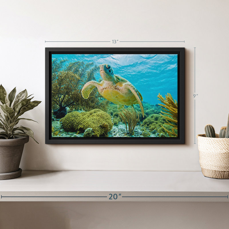 «Turtle In Bonaire Reef», reproduction sur toile, H 9 po x l 13 po