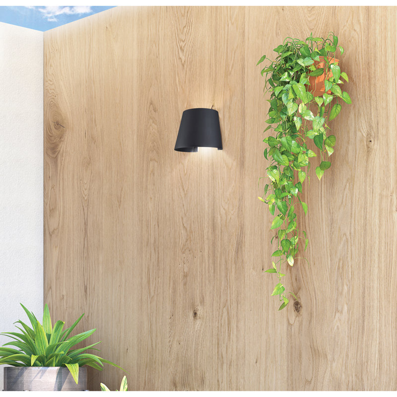 Mcfalls Wall Light, Black
