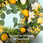 Scentsicles, 6 pièces, 1 citron et 1 lys / 1 baie et fleurs sauvages - paquet de 2