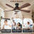 Itohan 56" 6-Speed Reversible Dc Motor LED Dimmable Ceiling Fan With Light And Remote