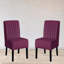 Ensemble de 2 chaises d'appoint Mid Century-983741770