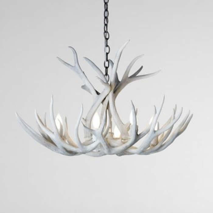 Lustre classique/traditionnel 6 lumières mule cerf Alexus, Blanchie au soleil