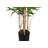 Indoor/Outdoor/Décor Artificial Bamboo Tree Faux Bamboo Tree Plant in Pot in Basket in Planter