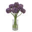 ALLIUM MOUNT EVEREST IN GLASS