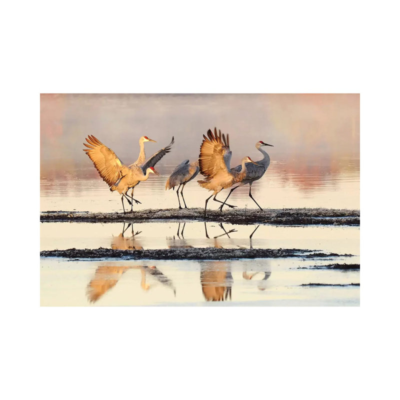 Ready For Flight by Brian Wolf - Wrapped Canvas Print, 20.32cm H x 30.48cm W x 1.91cm D