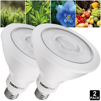 TORCHSTAR Grow Light Flowers