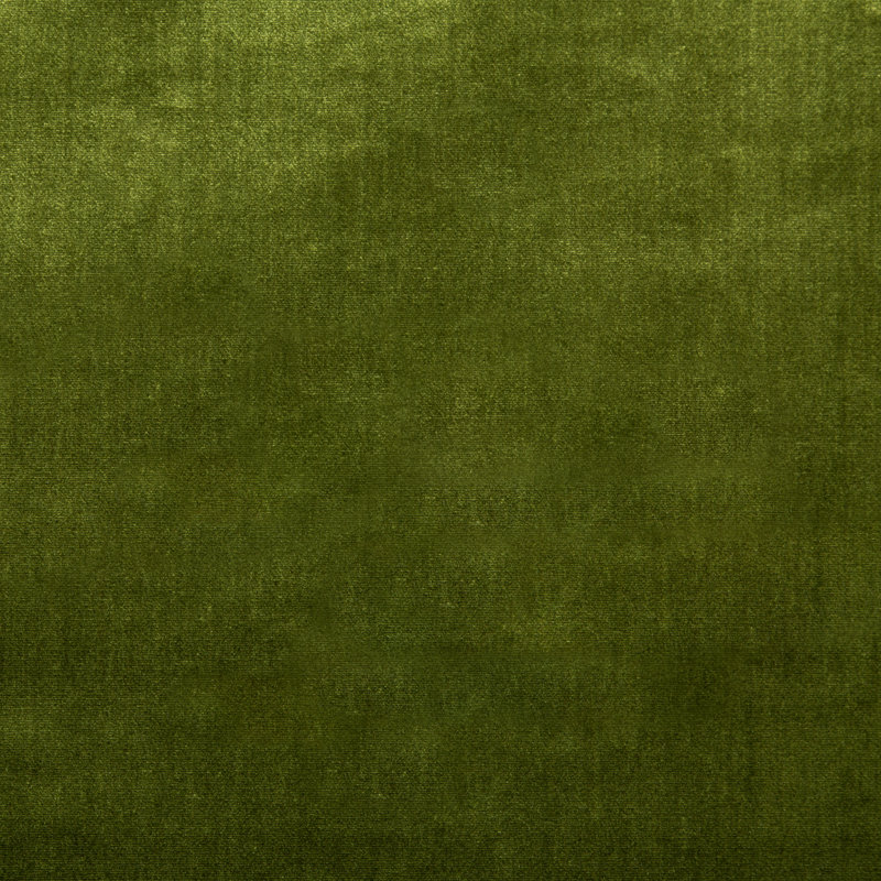 Duchess Velvet Silk Fabric, Olive
