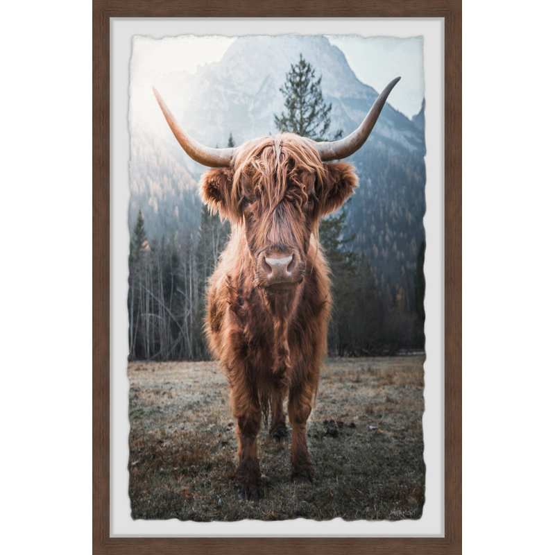 Câlin d'une vache - photographie avec cadre photo, H 36 po x l 24 po x 1,5 po