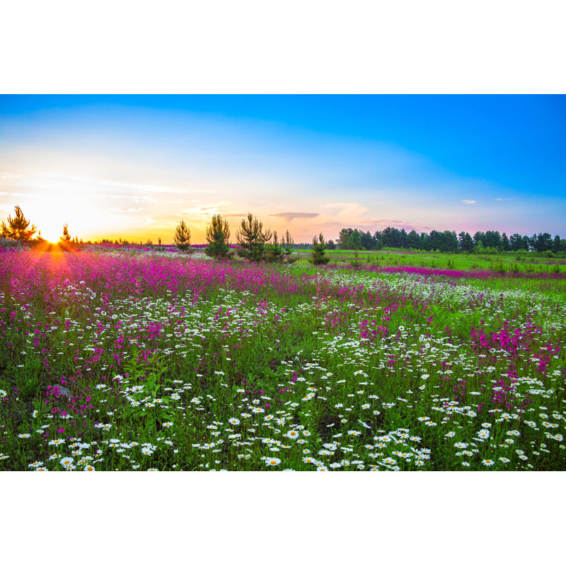 Summer Landscape With Flowers On A Meadow And Sunset by Yanikap - Wrapped Canvas Print, 30cm H x 46cm W x 3.8cm D