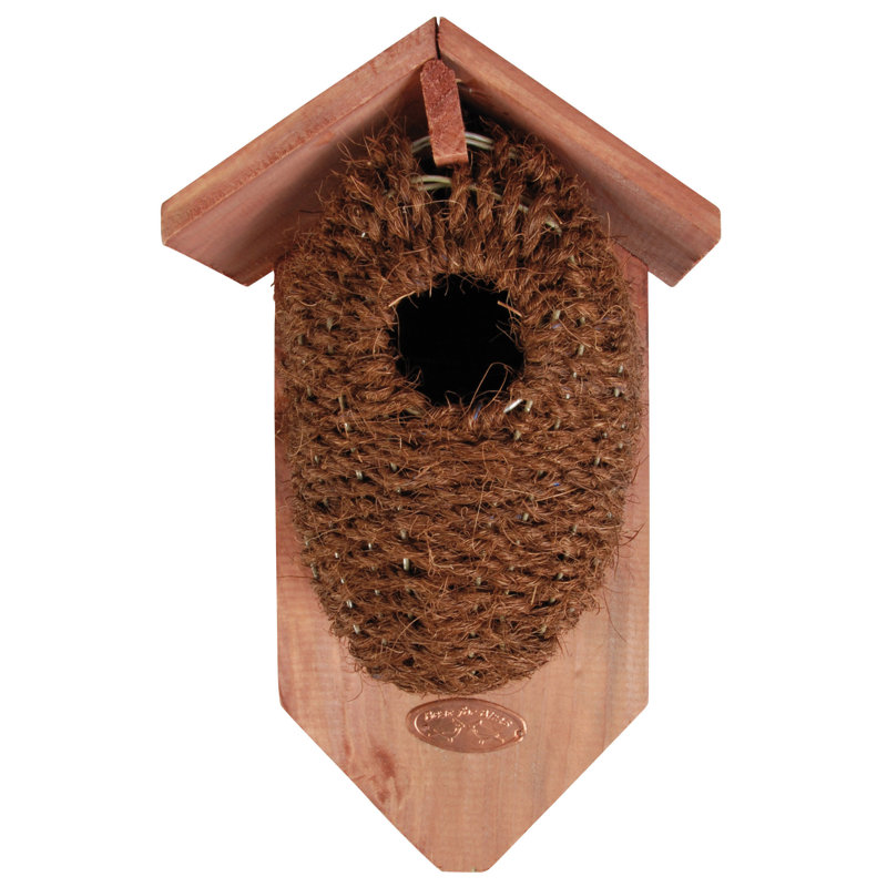 Newcomer Mounted Birdhouse