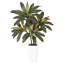 Plant-1137603657