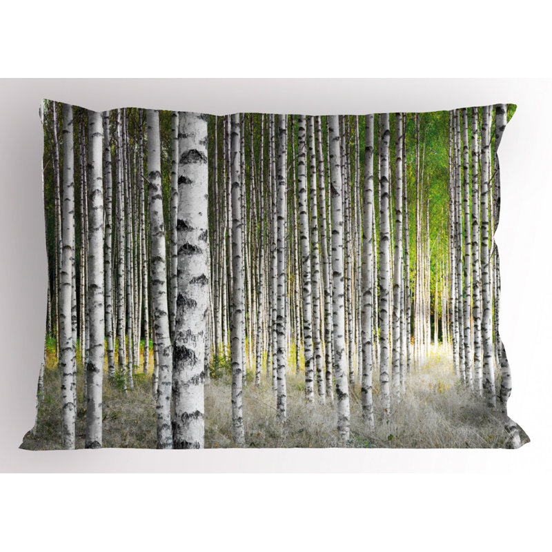 Polyester Sham Set, Twin