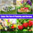Portable Mini Greenhouse-111160148