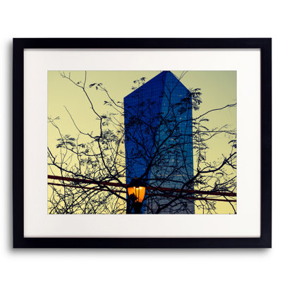 The Trees Print by Kevin Quinn