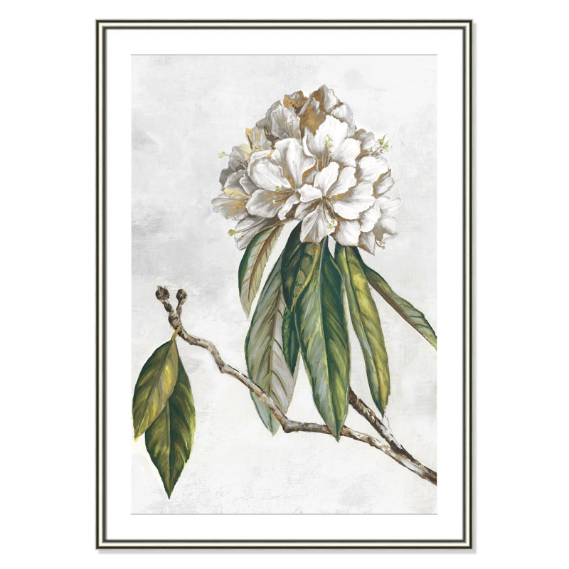 «Pearly Beauty II» par Eva Watts, L 30,75 po x H 42,75 po, Imprimé mat, Argent classique