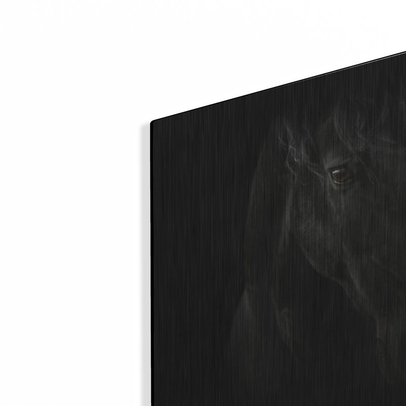" Black Pearl " by PhotoINC Studio, 16" H x 12" W