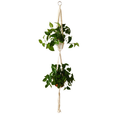 Albertina Plant Stand