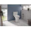 Drake® Dual-Flush Elongated Two-Piece toilet (Seat Not Included)-40848485