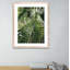 Palm I Print by Vitaliy Paykov-48619985-48619989