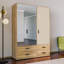 Manufactured Wood Wardrobe
