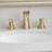 Bathroom Faucet-97833416