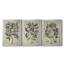 Feuillage antique embelli I - toile tendue avec châssis sur mesure - 3 pièces-74674719-74674716