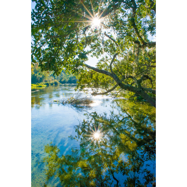 17 Stories Reflection In Spring Water by Michael Warren - No Frame ...