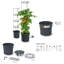 Bavly Plant Support-285657251