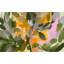 Vibrant Abstract Flowers by Josie George — Botanical Wall Art-2040865898-2040865889-2040865910