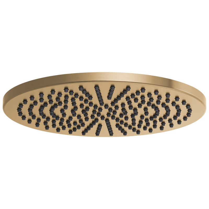 Essential™ Rain Adjustable Shower Head, 2.5 GPM, Luxe Gold