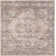 Cantey Oriental Indoor Rug