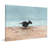 " Run Doggie Run " by Parvez Taj-134673320