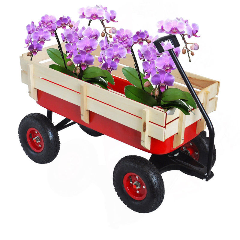 Chariot pour outils de sport en plein air