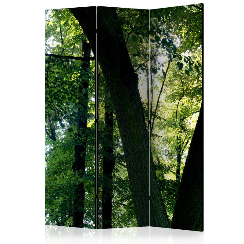Gollub 135cm W x 172cm H 3 - Panel Solid Wood Folding Room Divider