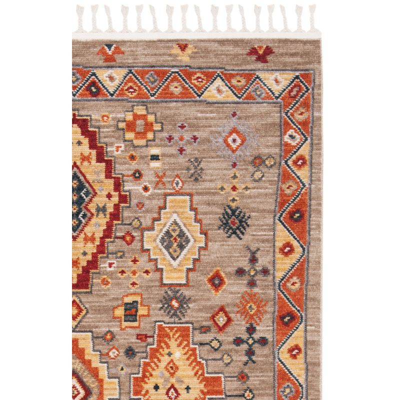 Tapis performance sud-ouest Janessa, Rectangle 4 pi x 5 pi 4 po