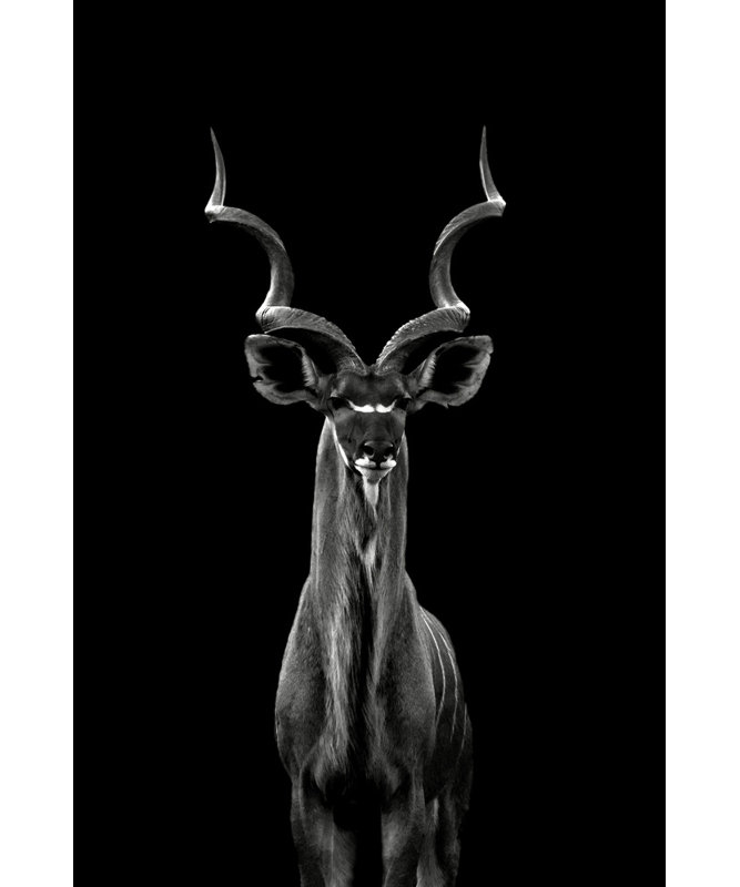 Wrapped Canvas Print, 50.8 cm H x 76.2 cm W