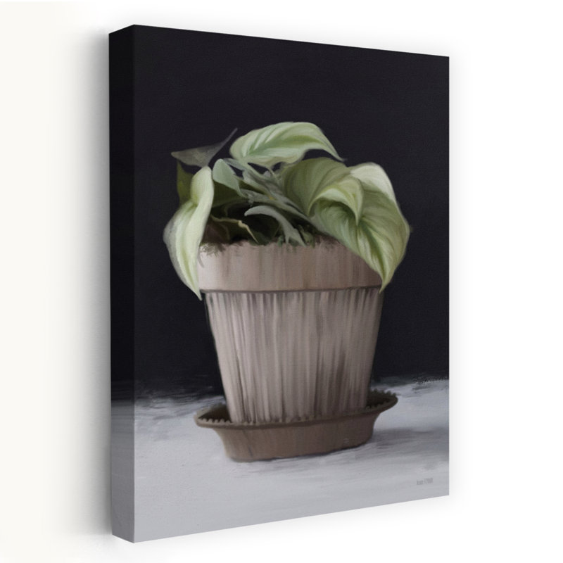 Farmhouse Philodendron, plante contemporaine, H 24 po x l 16 po
