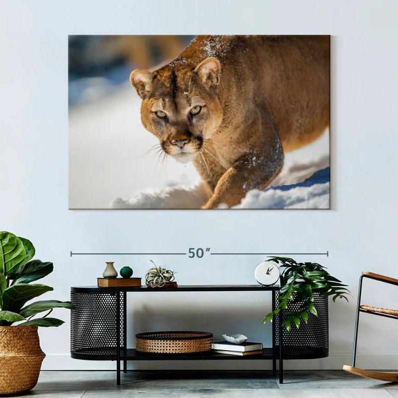 Brampt Cougar In Snow, 34" H x 51" W