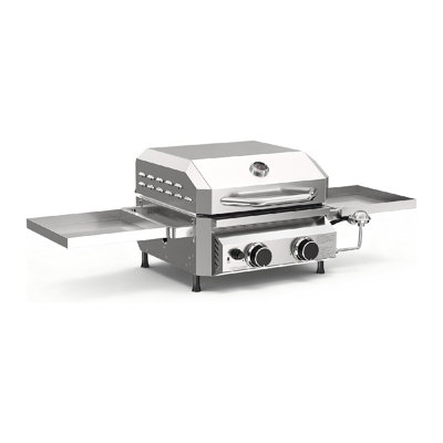 R.W.FLAME 2-Burner Gas BBQ Grill， 16,000 Btu Portable Stainless Steel Propane Gas Grill - Enamel Grate & Cast Iron Griddle, Detachable Side Table, Perfect For Camping, Outdoor Bbq, Tailgating & Rv